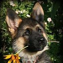 ���� ��������, �����-���������, 64 ���� - ��������� 9 ������� 2023