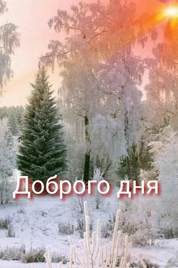   ,    . - 28  2022  21:10 - 4