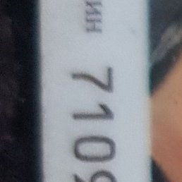 ����, ������, 55 ���