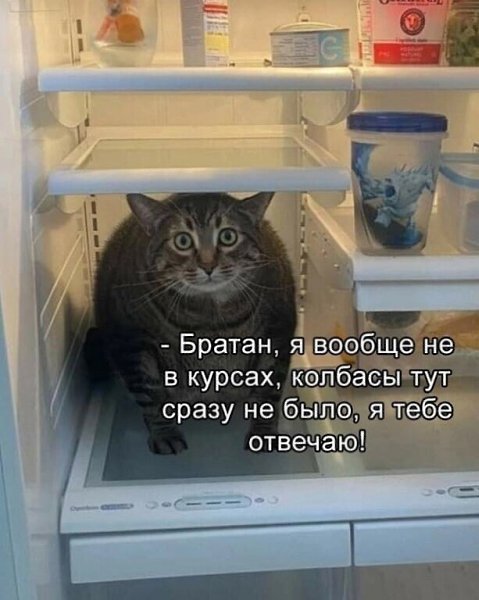  - 27  2023  08:48