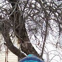 ���� ������, �������, 49 ��� - ��������� 26 ������ 2023