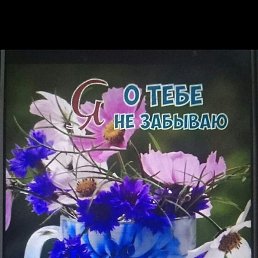 , , 55 