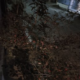 ���� Andy, ��������, 35 ��� - ��������� 9 ������� 2023