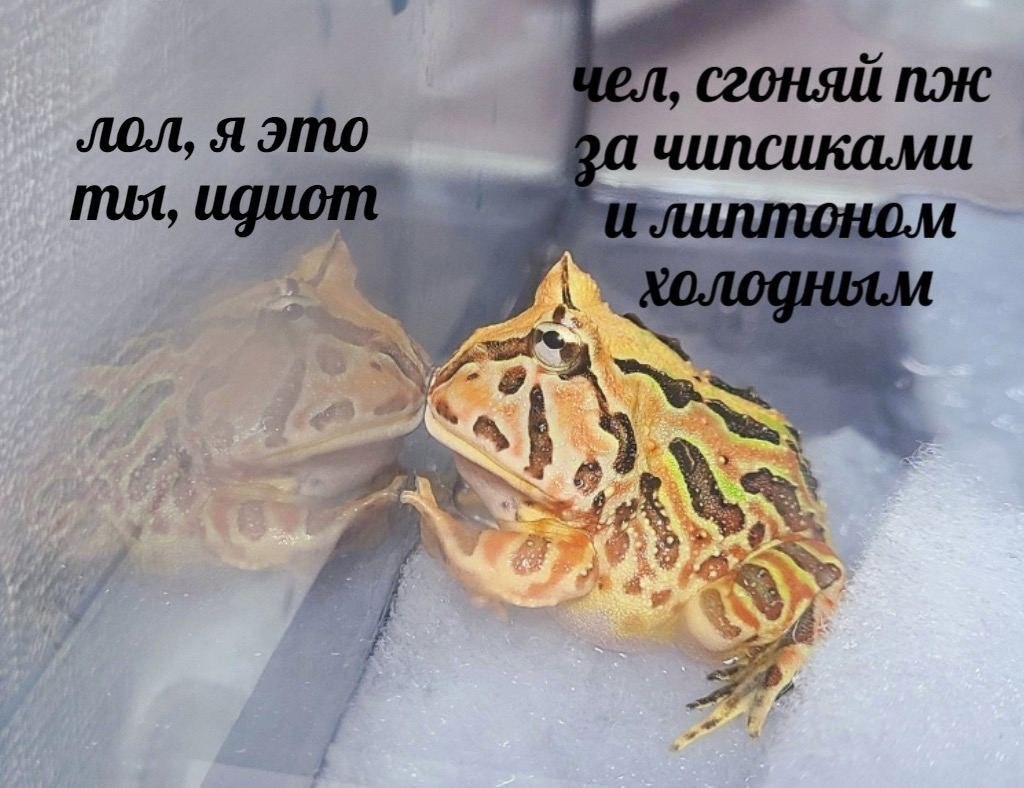    - 3  2023  00:33