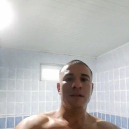 , , 41 