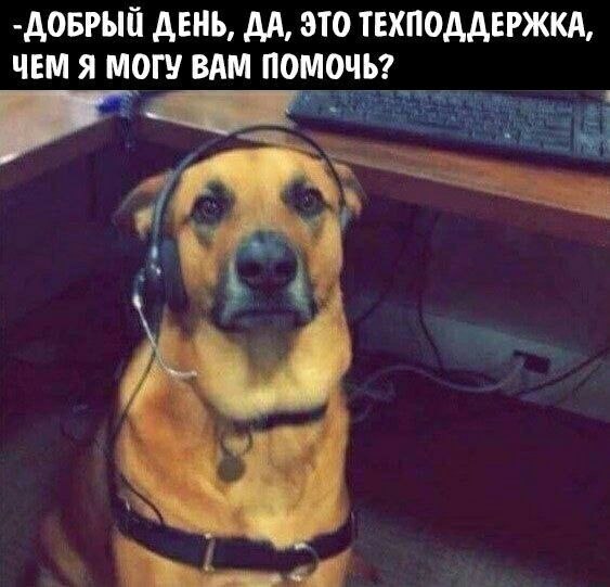    - 8  2023  01:33