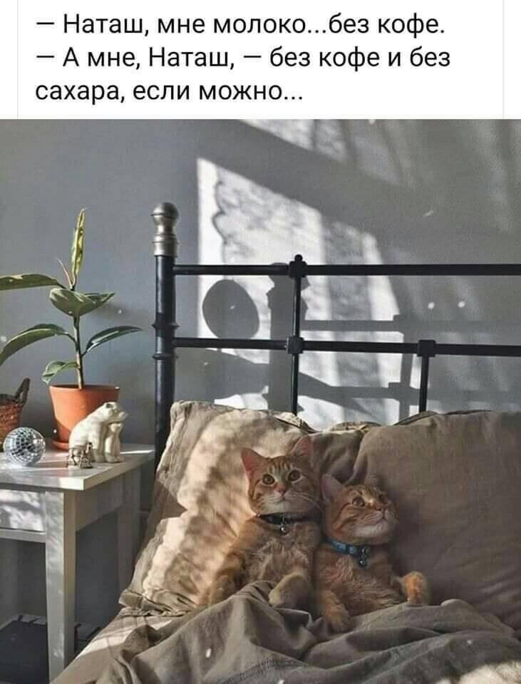   - 16  2023  11:01