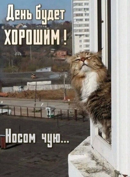 ***Victoria Viktorovna*** - 8 ����� 2022 � 04:31