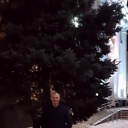 ���������, �����, 64 ����