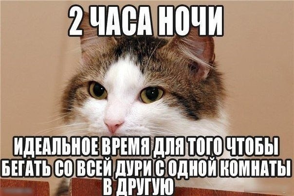    - 14  2022  23:39