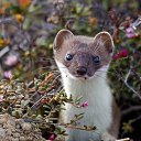 ���� �����, ���������� - ��������� 19 �������� 2022 � ������ ���� ����������