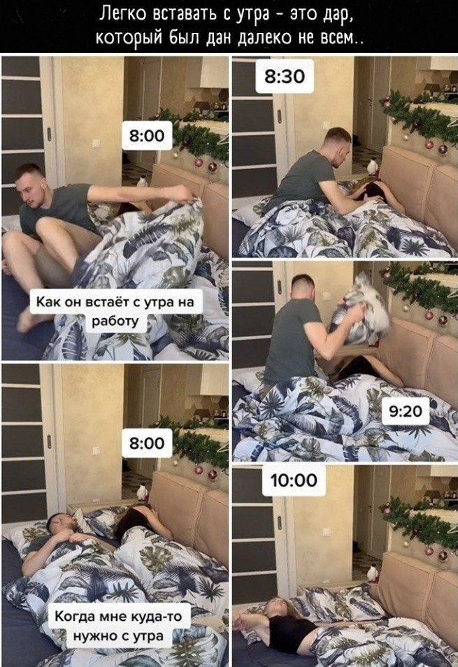  -     ,    