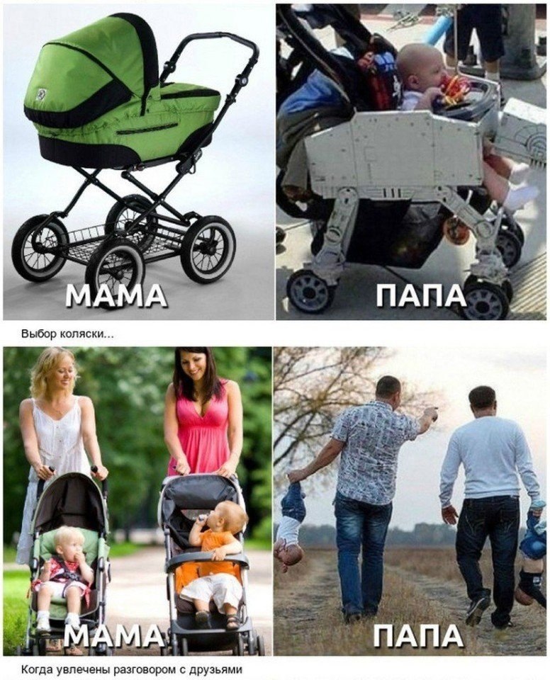   :  ,      ,  ,   ... - 5