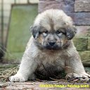 ���� ����, �����-��������� - ��������� 6 ������ 2022 � ������ ������ ��������