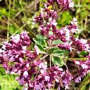 ���� ����, �������, 55 ��� - ��������� 11 �������� 2022 � ������ ���� ��������, ��� ��������...�