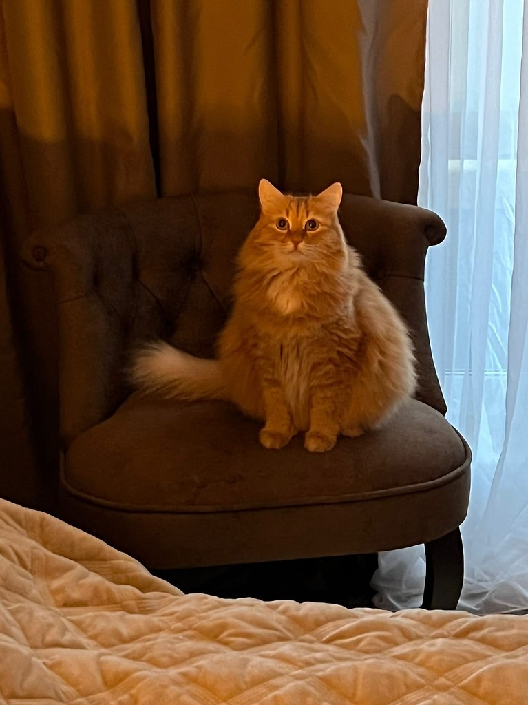   ?!