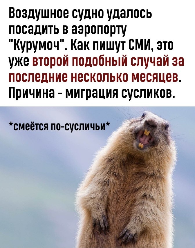 -  ? - ! -   .    . - 3