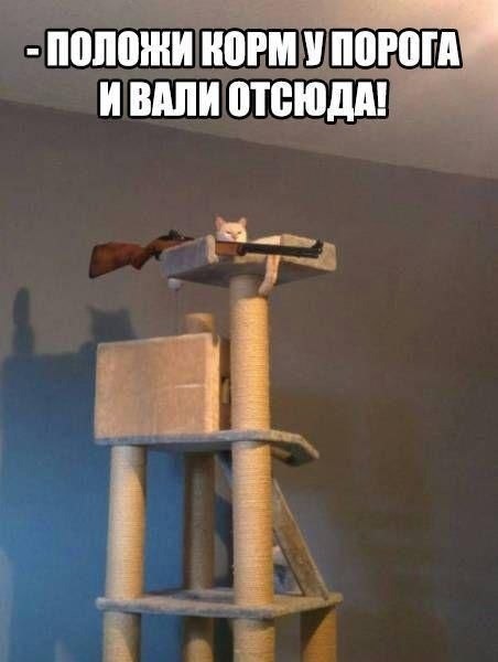    - 16  2022  02:29