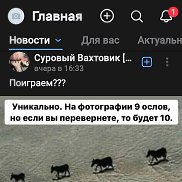 ������, 43 ����, ������