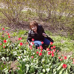 ������, ��������, 65 ���