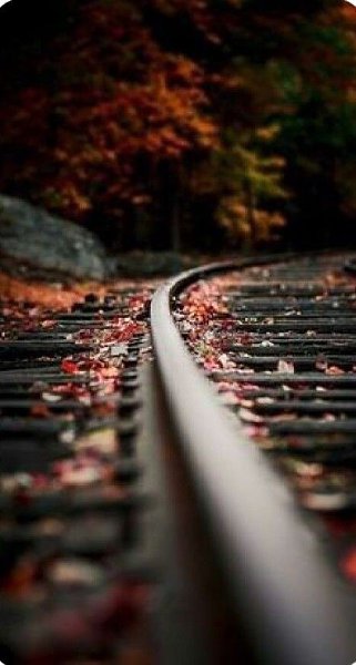 А осень где-то варит кофе, пакует в чемодан фланель..Слегка наносит на запястье немножечко духов ... - 2