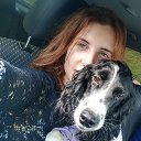 ���� ��������, �����������, 29 ��� - ��������� 22 ������� 2022