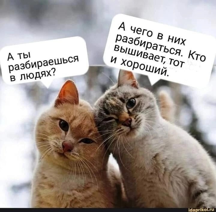  - 22  2022  20:26