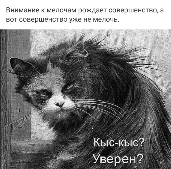 ***Victoria Viktorovna*** - 16  2022  05:26