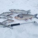 ���� �������, ��������, 70 ��� - ��������� 25 ������ 2022