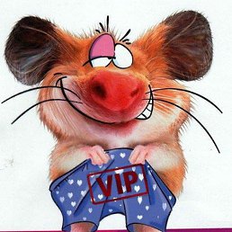 ������, ������