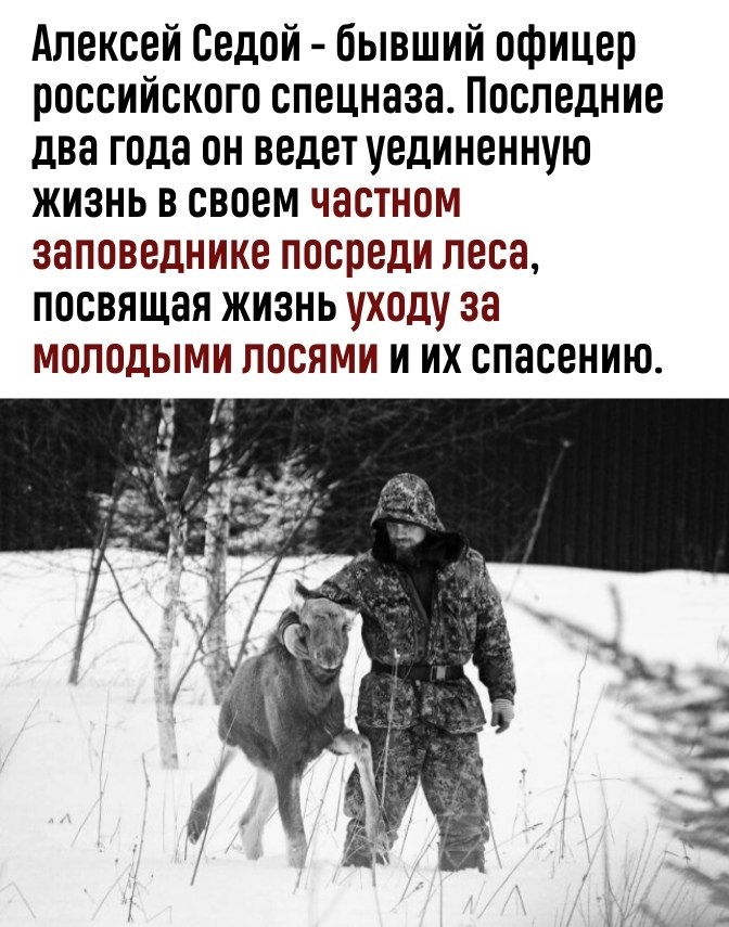       - 2