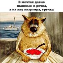 ���� �����������, ������ - ��������� 11 ������ 2022 � ������ ����