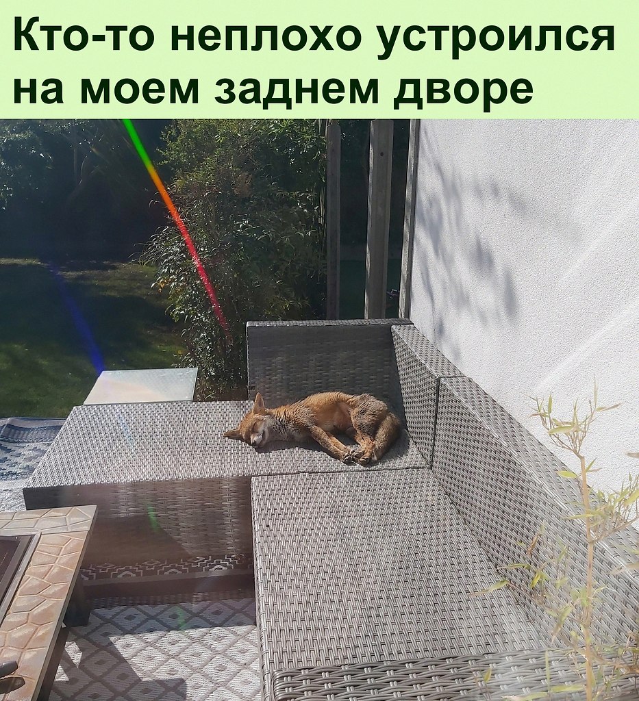 ����������� ��� ��� ����� ����� � ����� ������