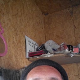 ���� ����������, ��������, 59 ��� - ��������� 3 ������� 2022