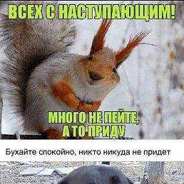 ����, ������, 37 ���