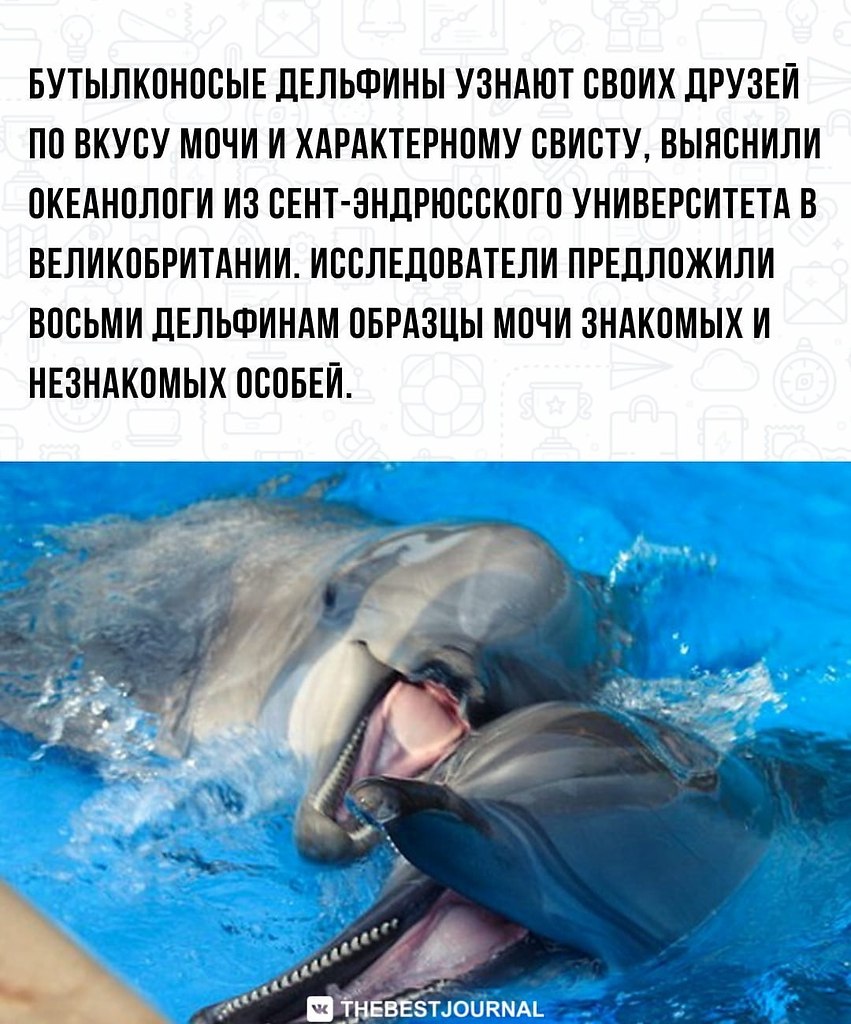 BEST | , ,  - 21  2022  22:17 - 2