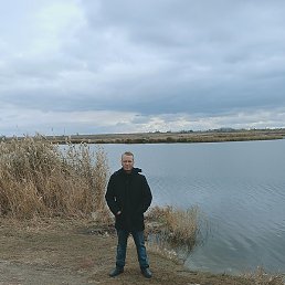 ����, ������, 40 ���