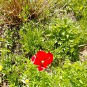 ���� ����, ������, 79 ��� - ��������� 15 ������ 2022