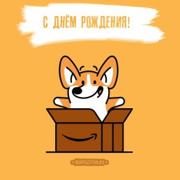 ���� ��������, ����, 105 ��� - ��������� 15 ������ 2022