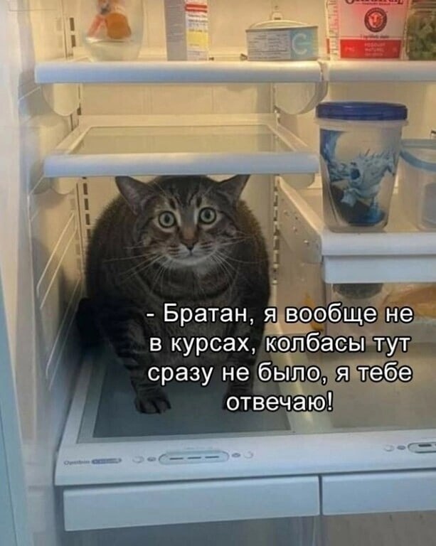  - 27  2023  08:48
