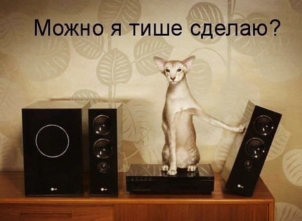    - 1  2022  23:40
