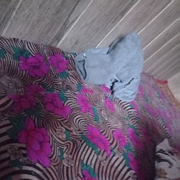 , , 35 
