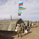 ���� �������, �����, 44 ���� - ��������� 12 ������ 2022 � ������ ���� ����������