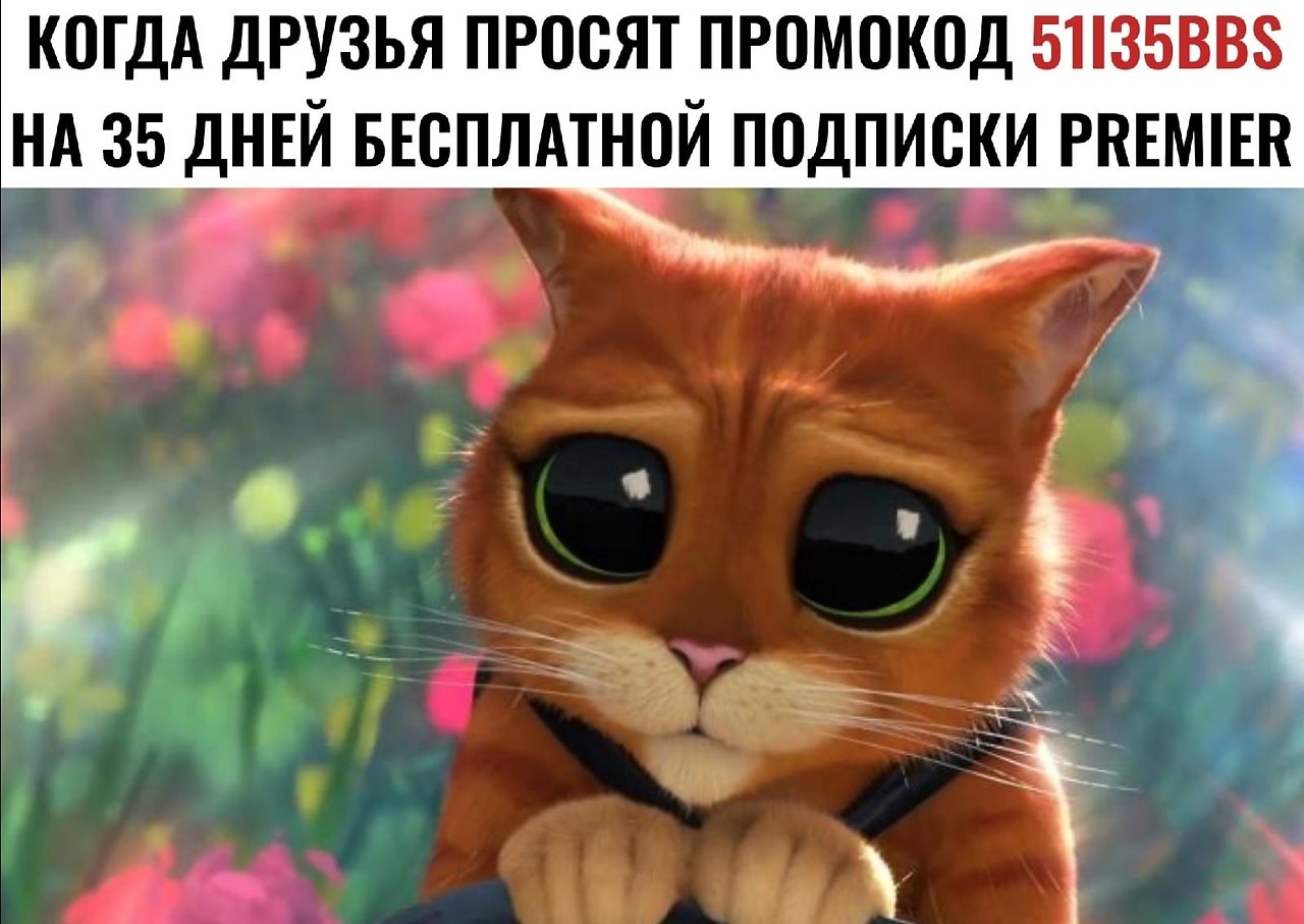           ! PREMIER ...