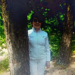 ����, ������������