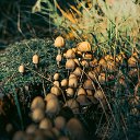 ���� Maria, �����, 21 ��� - ��������� 15 ������� 2023 � ������ ���� ����������