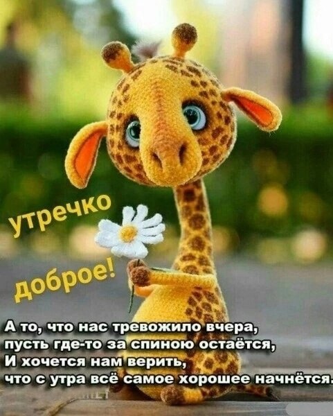   ,    . - 19  2023  21:03