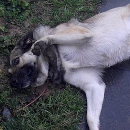 ������, ������, 52 ����