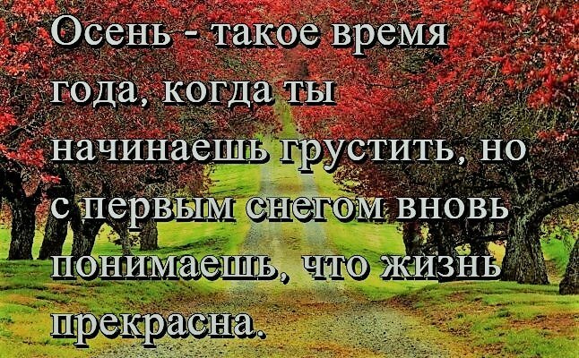  - 17  2022  13:19