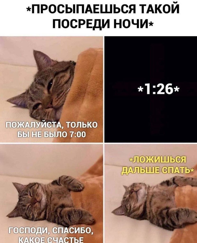 ��� �������� �������� - 21 �������� 2022 � 16:12